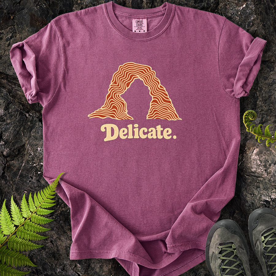 Delicate Arches Swirl T-Shirt