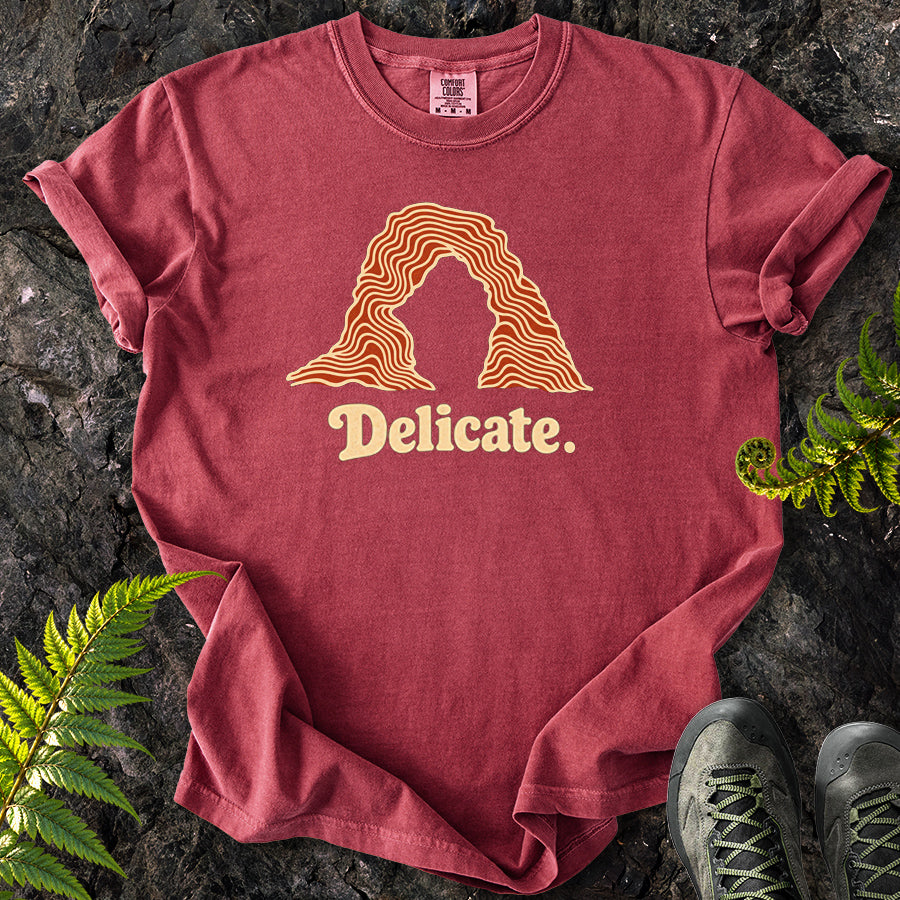 Delicate Arches Swirl T-Shirt