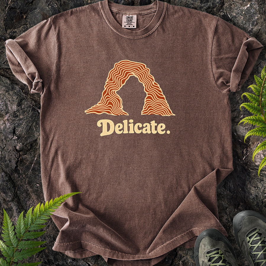 Delicate Arches Swirl T-Shirt