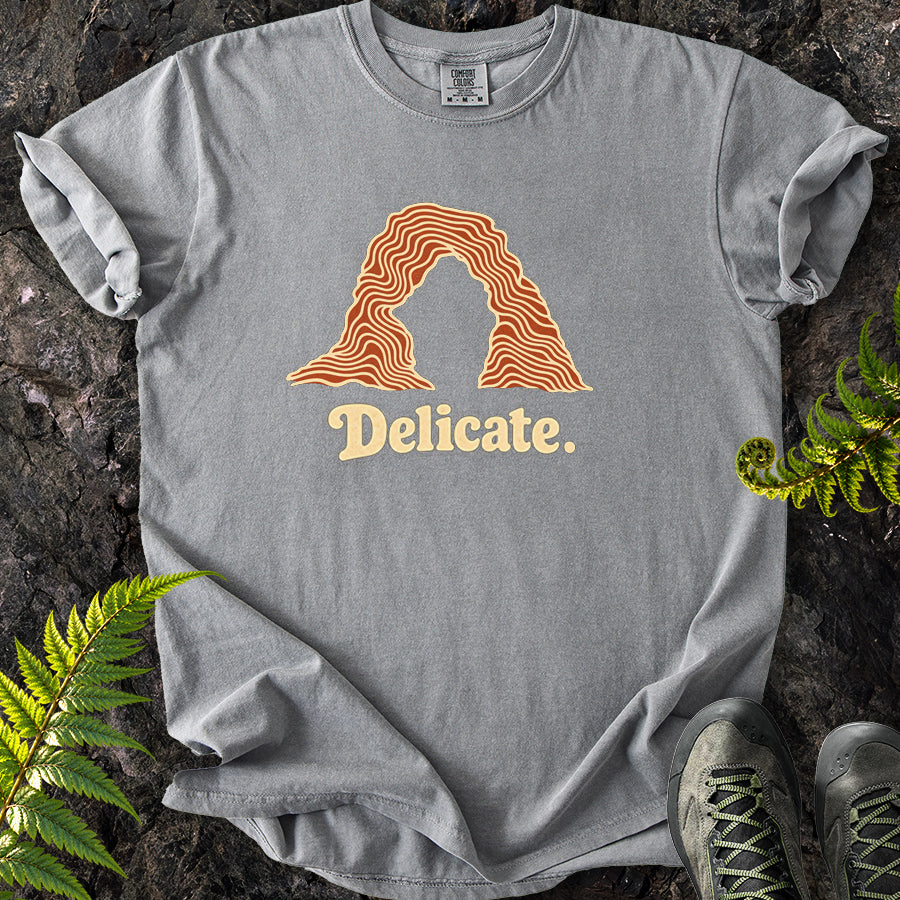 Delicate Arches Swirl T-Shirt