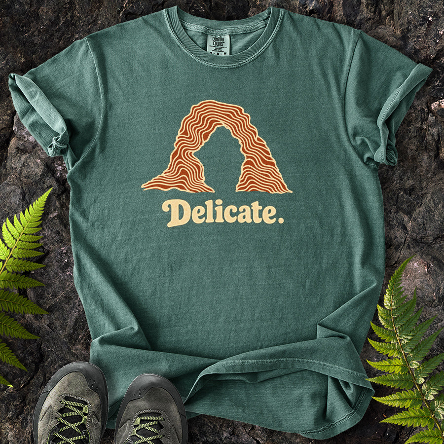 Delicate Arches Swirl T-Shirt