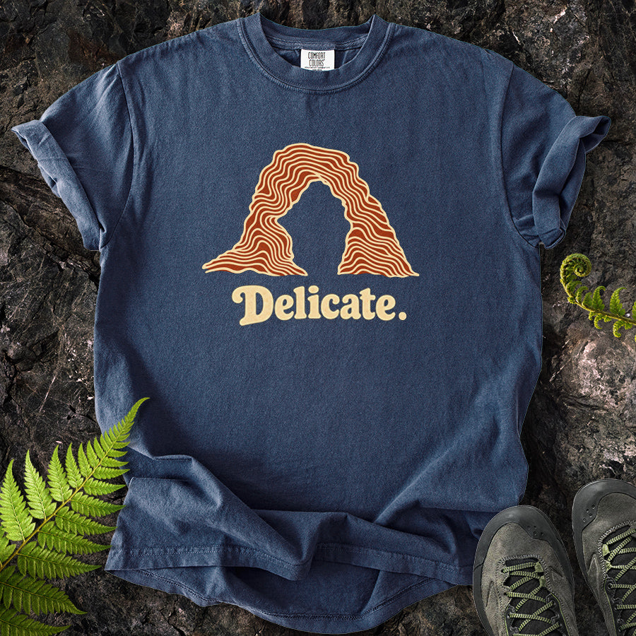 Delicate Arches Swirl T-Shirt