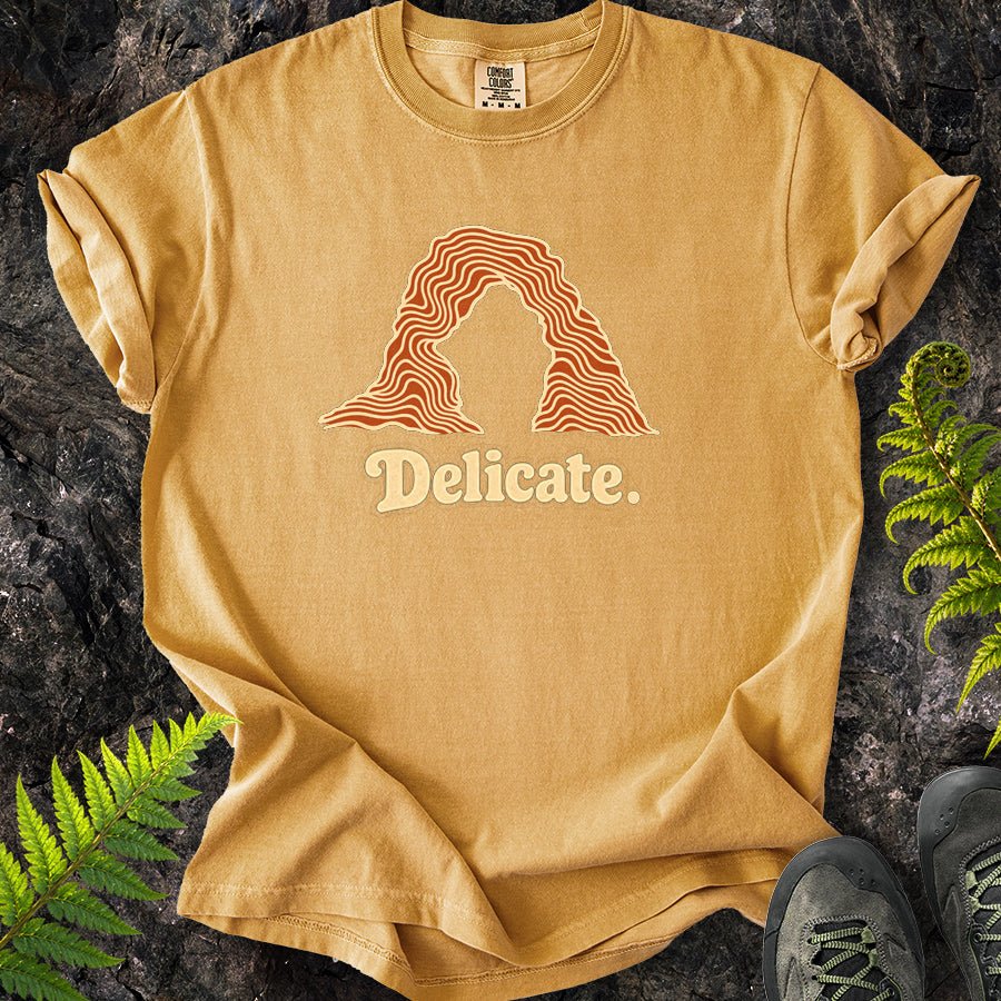 Delicate Arches Swirl T-Shirt
