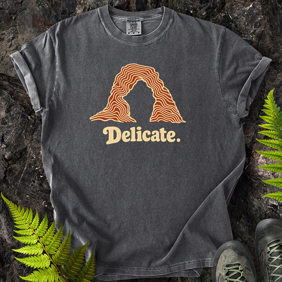 Delicate Arches Swirl T-Shirt