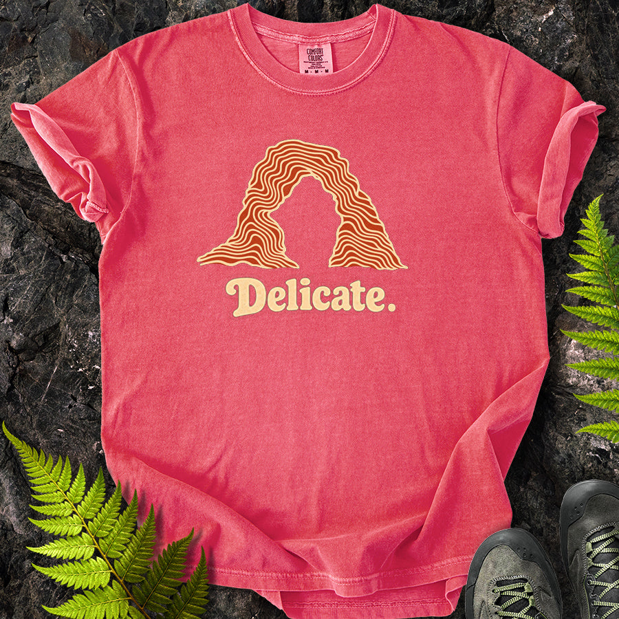 Delicate Arches Swirl T-Shirt