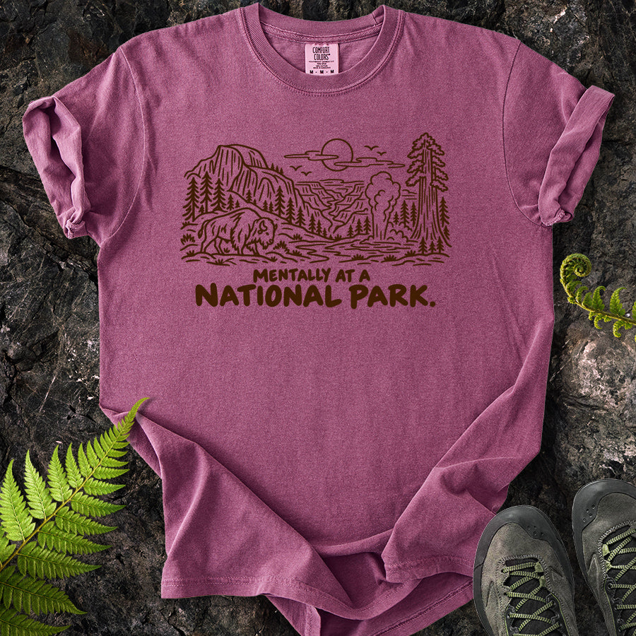 Mentally At A National Park T-Shirt