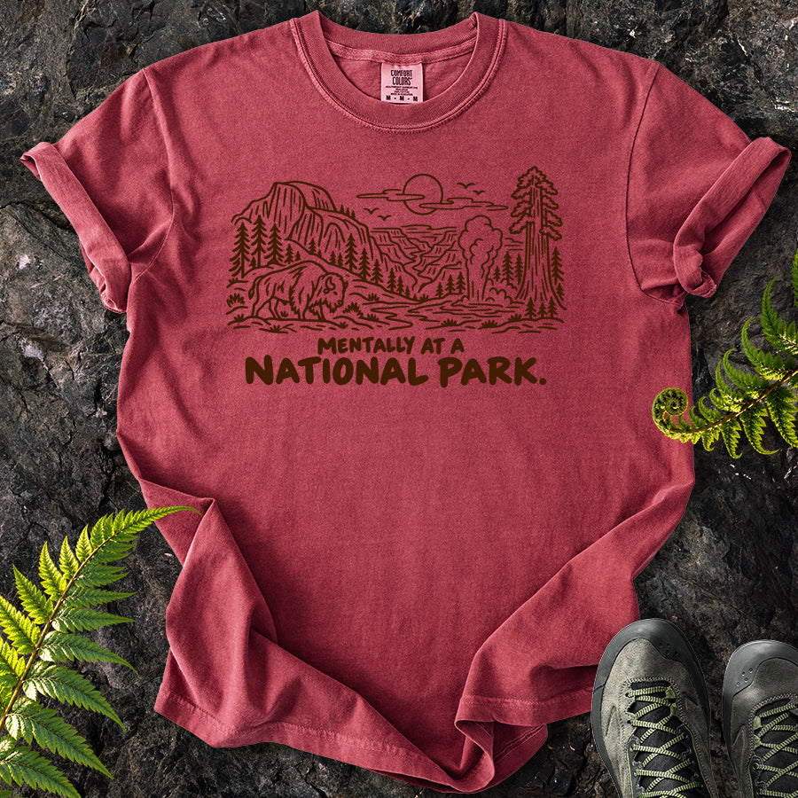 Mentally At A National Park T-Shirt